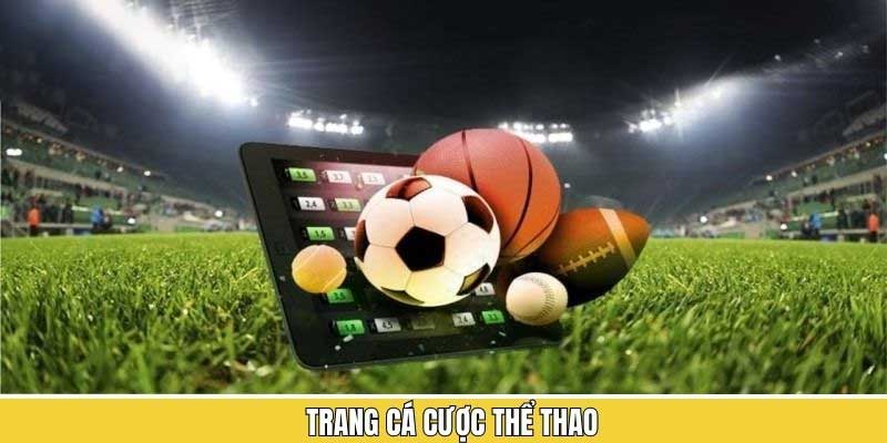 Giới thiệu thông tin sân chơi thể thao 99Win